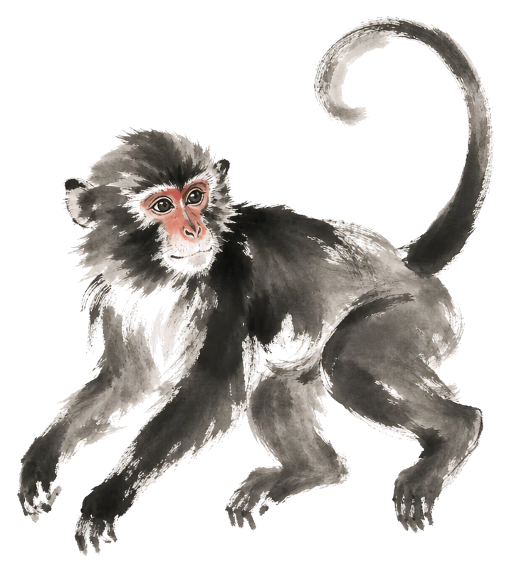 The Monkey painted in ink wash