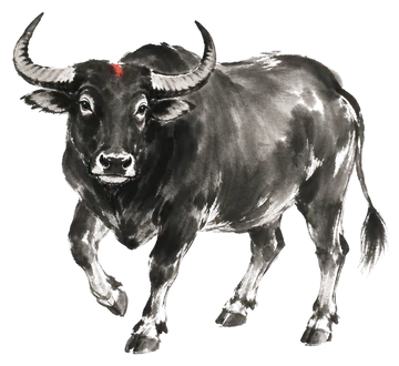 The Ox in ink