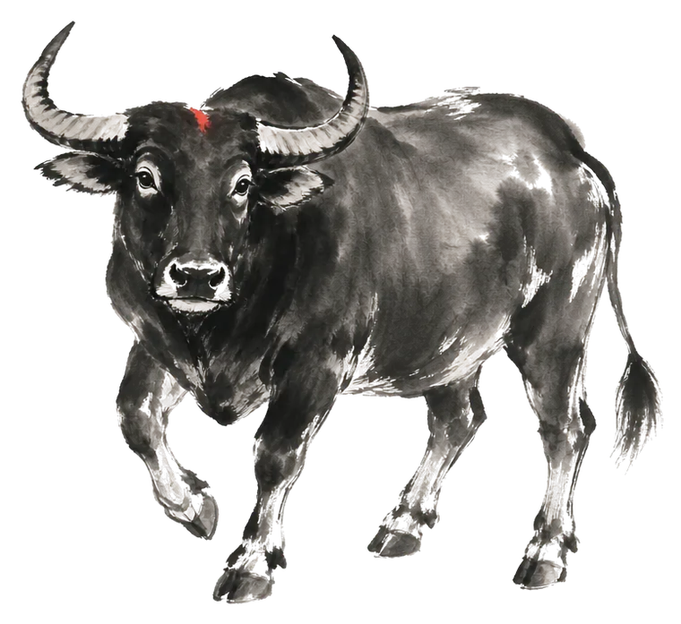 The Ox painted in ink wash