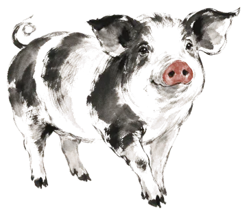 The Pig in ink