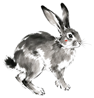 The Rabbit in ink