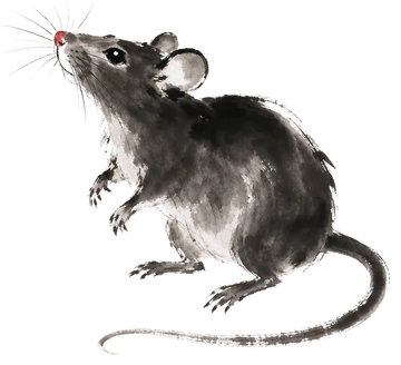 The Rat in ink