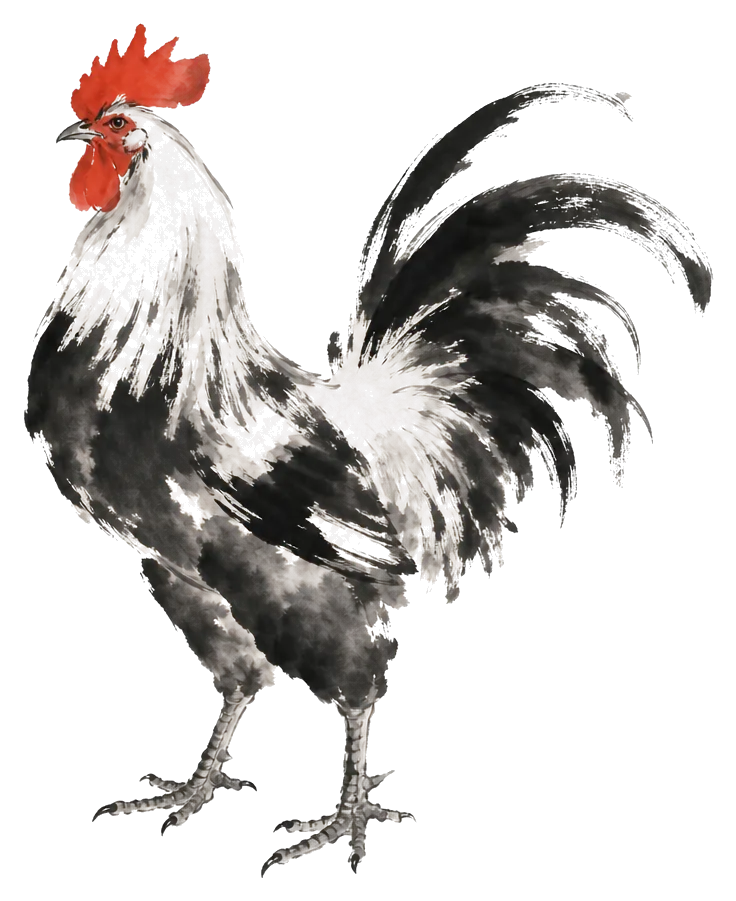 The Rooster painted in ink wash