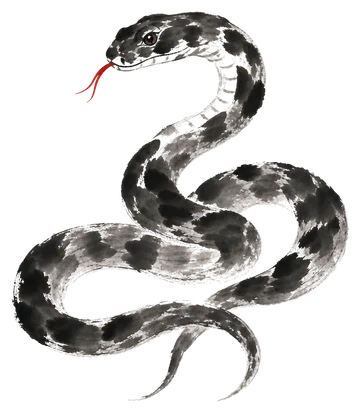 The Snake in ink