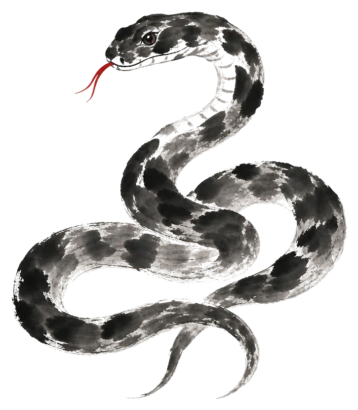 The Snake painted in ink wash