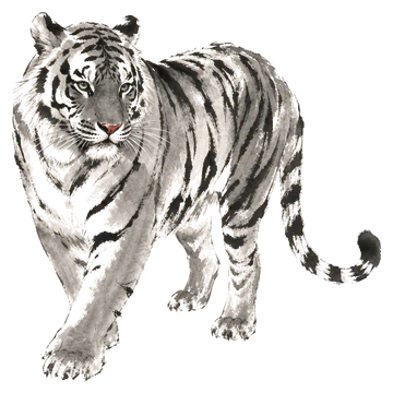The Tiger in ink